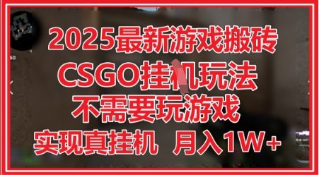 2025最新游戏搬砖，CSGO挂G，不需要玩游戏，实现真挂G，月入1W+【揭秘】-88共享