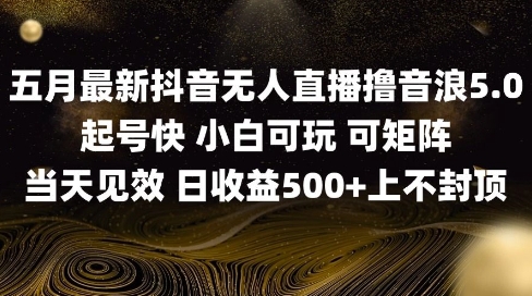 2025五月最新无人直播撸音浪单日产出5张+实操教程【揭秘】-88共享