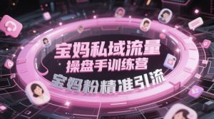 宝妈私域流量操盘手训练营,宝妈粉精准引流-88共享