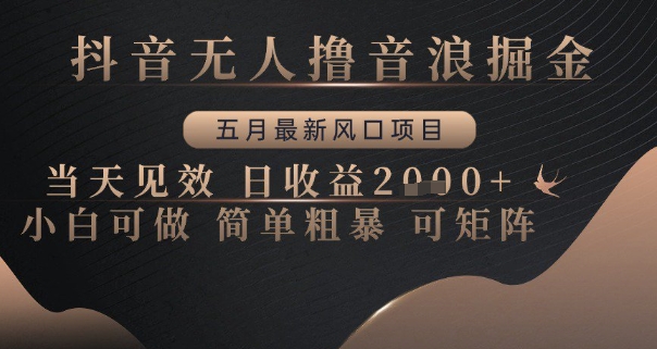 抖音无人撸音浪掘金，五月最新风口项目，当天见效，日收益多张，小白可做简单粗暴可矩阵【揭秘】-88共享