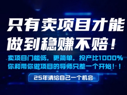 只有卖项目才能做到稳挣不赔，门槛低，更简单，你也可以年入百个W【揭秘】-88共享