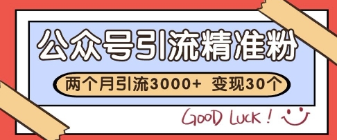 公众号精准粉引流玩法，2个月3000+精准粉，变现30个W【揭秘】-88共享