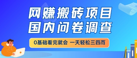 网创搬砖项目，国内问卷调查，小白轻松上手，一天三四张的也不难，干就完了【揭秘】-88共享