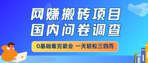网创搬砖项目,国内问卷调查,小白轻松上手,一天三四张的也不难,干就完了【揭秘】-88共享