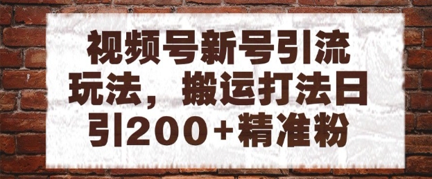 视频号新号引流玩法，搬运打法日引200+精准粉，可矩阵放大【揭秘】-88共享