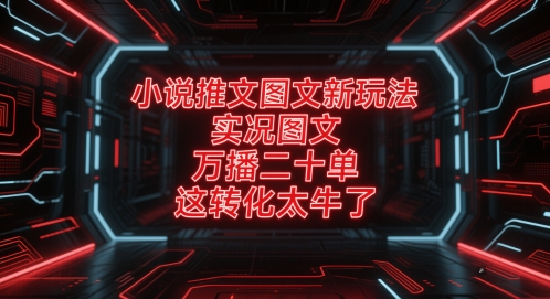 小说推文图文新玩法，实况图文，万播二十单，这转化太牛了！-88共享