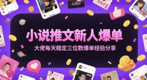 小说推文新人爆单大佬每天稳定三位数爆单经验分享-88共享