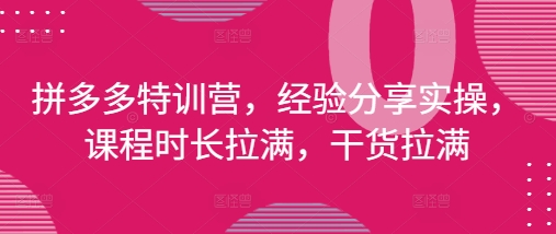 拼多多特训营，经验分享实操，课程时长拉满，干货拉满(更新25年4月)-88共享