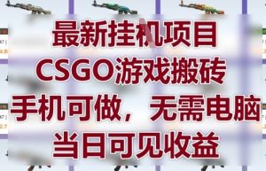 最新挂G项目,CSGO游戏搬砖,手机可做,无需电脑,当日见收益【揭秘】-88共享