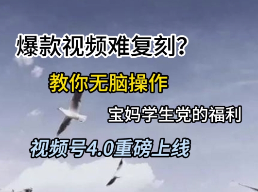 视频号4.0重磅上线，爆款视频难复刻？教你无脑操作宝妈学生党的福利【揭秘】-88共享