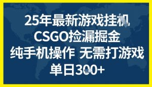 25年CSGO游戏搬砖，全自动挂G，不需要玩游戏，手机操作日入3张+【揭秘】-88共享