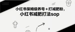 小红书保姆级养号+打减肥粉,小红书减肥打法sop-88共享
