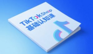 TikTok小店基础认知课,助力学员从 0 到 1 掌握 TikTok 电商运营全链路认知-88共享