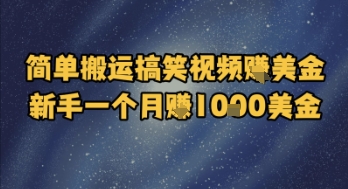简单搬运搞笑视频挣美金，新手一个月入1k美金-88共享