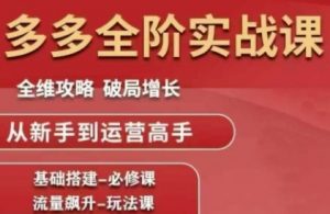 拼多多全阶实战课程,全维攻略,破局增长,从新手到运营高手-88共享