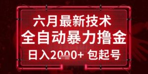 六月最新技术全自动暴力撸金,稳定日入2k+包起号,长期稳定【揭秘】-88共享