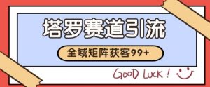 小红书某音塔罗赛道引流获客 自热矩阵日引200+【揭秘】-88共享