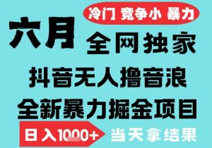 2025年6月高爆抖音无人直播最新撸音浪掘金项目,无脑日入1k+,低门槛小白可做,可矩阵放大【揭秘】-88共享