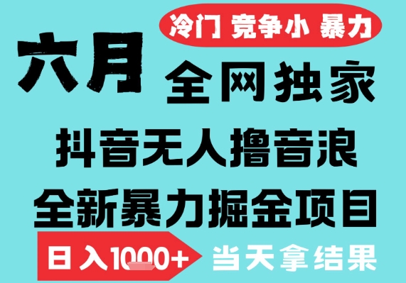 2025年6月高爆抖音无人直播最新撸音浪掘金项目，无脑日入1k+，低门槛小白可做，可矩阵放大【揭秘】-88共享