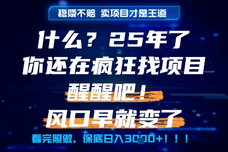 什么？25年你还在疯狂找项目做，醒醒吧，看完这些你全都懂了！【揭秘】-88共享