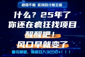 什么?25年你还在疯狂找项目做,醒醒吧,看完这些你全都懂了!【揭秘】-88共享