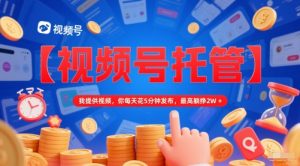 【视频号托管 】我提供视频,你每天花5分钟发布,最高躺挣2W+【揭秘】-88共享