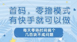 首码零撸项目,有快手就可以做,每天业务时间搞个几张不是问题【揭秘】-88共享