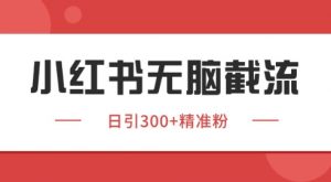 小红书截流同行客源，独家野路子获客玩法 日引200+暴力获客【揭秘】-88共享
