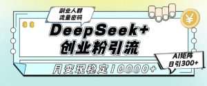 DeepSeek+创业粉精准引流,全新分享课4.0玩法,AI矩阵日引300+,多种变现方式,稳定月入1W-88共享