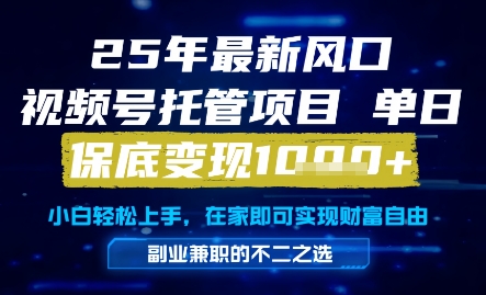 25年最新风口，视频号托管项目，单日保底变现1k+，手把手教学【揭秘】-88共享