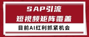 小红书某音sap赛道引流获客 自热矩阵日引200+【揭秘】-88共享