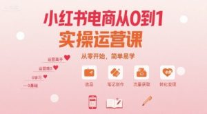小红书电商从0到1实操运营课,从零开始,简单易学-88共享