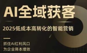 AI全域获客实训营，2025低成本高转化的智能营销，精准找客，高效营销-88共享
