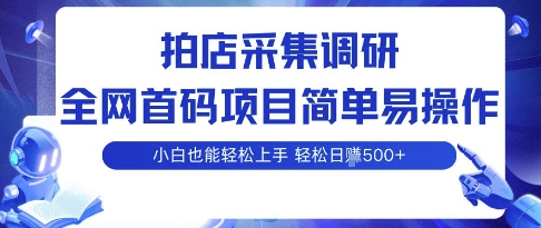 拍店采集调研，全网首码项目，简单易操作， 小白也能轻松上手，多账号操作，轻松日入5张【揭秘】-88共享