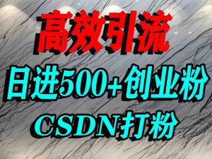 怎么打创业粉?CSDN又一个你不知道的打粉引流神秘平台,单人日引500+精准流量-88共享