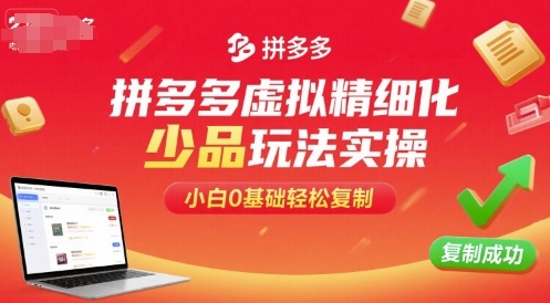 拼多多虚拟精细化少品玩法实操，小白0基础轻松复制-88共享