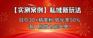 【实测案例】私域新玩法,日引30+精准粉,转化率50%,新人照做也能出单!-88共享