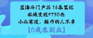 蓝海冷门产品:16条笔记私域变现9750米小众赛道,操作的人不多-88共享