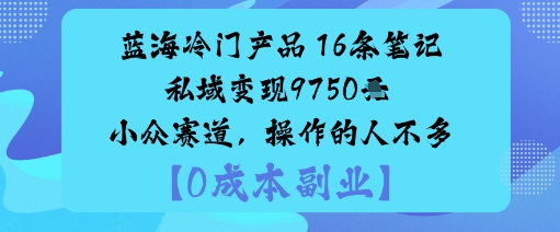 蓝海冷门产品：16条笔记私域变现9750米小众赛道，操作的人不多-88共享
