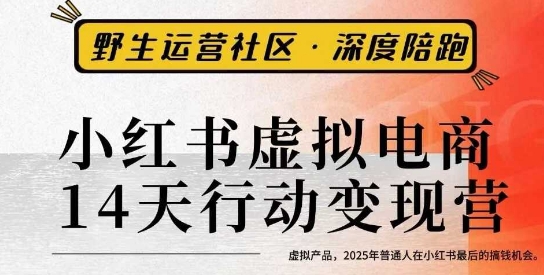小红书虚拟电商14天变现训练营3.0，​虚拟产品，2025年普通人在小红书最后的搞钱机会-88共享