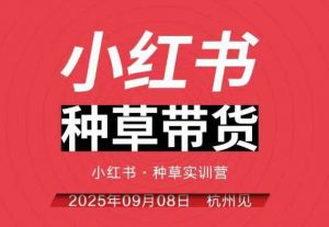 小红书种草带货实训营9月8日杭州线下课,全程录音+字幕,全网唯一小红书实战营-88共享